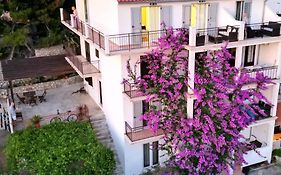 Apartmani Mladina